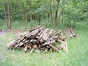 20100530 008
